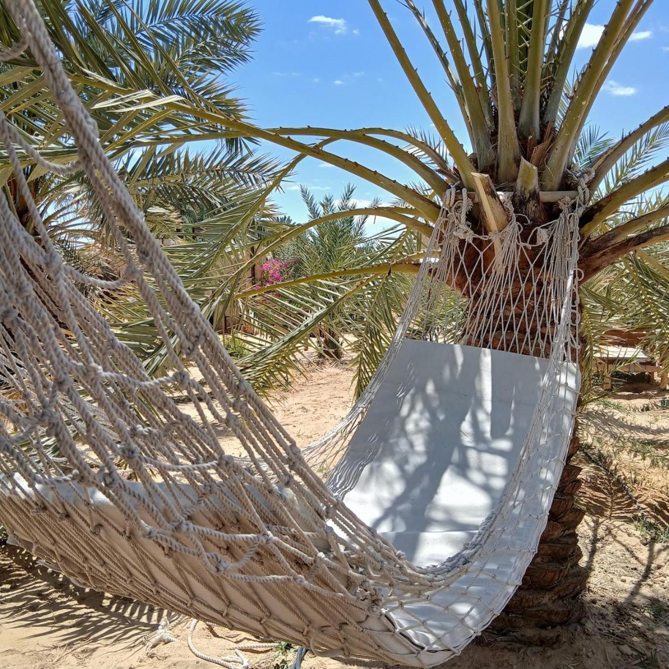 Tanirt Ecolodge Siwa Oasis Esterno foto